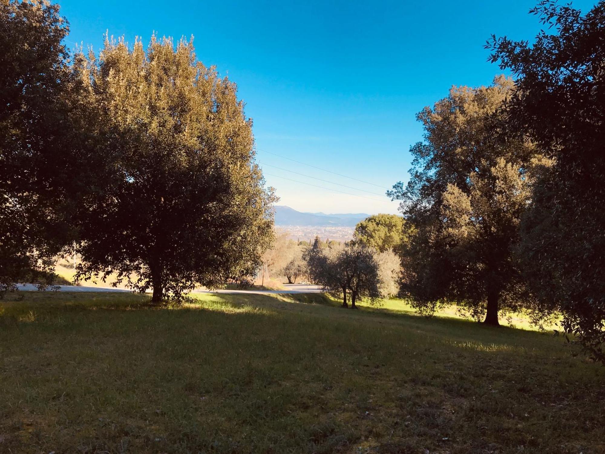La Residenza Dei Piaceri Perduti- Le Volte Apartment Lastra a Signa Exterior foto